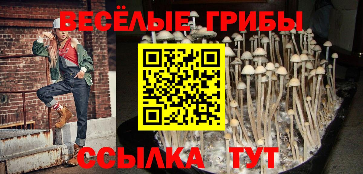 Норильск  Псилоцибиновые грибы ЛСД  Вход с VPN  закладка  Псилоцибиновые грибы Psilocybe 